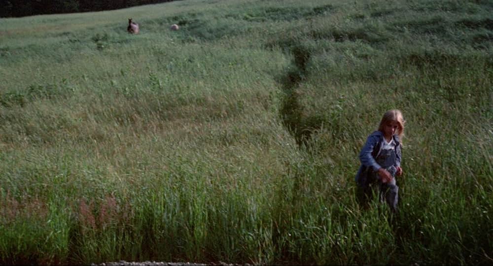 暗黒の8月の画像