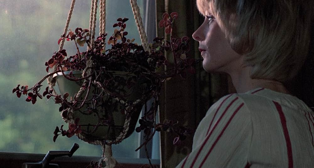 暗黒の8月の画像