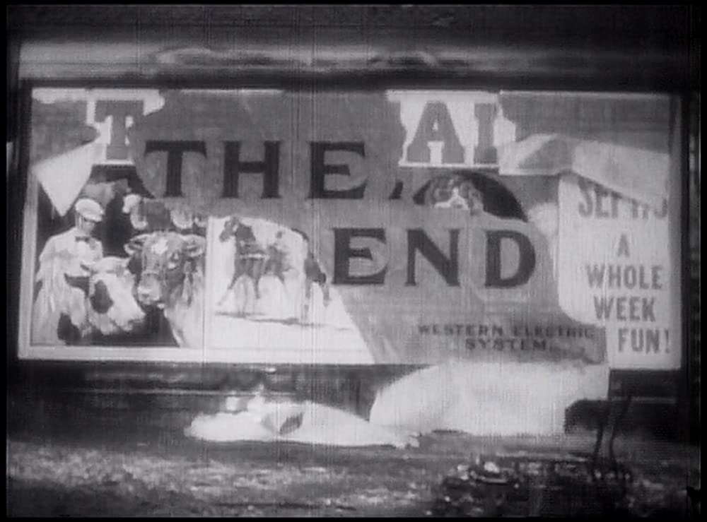 あめりか祭の画像