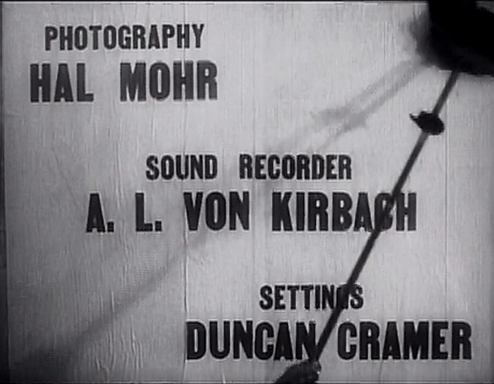 あめりか祭の画像