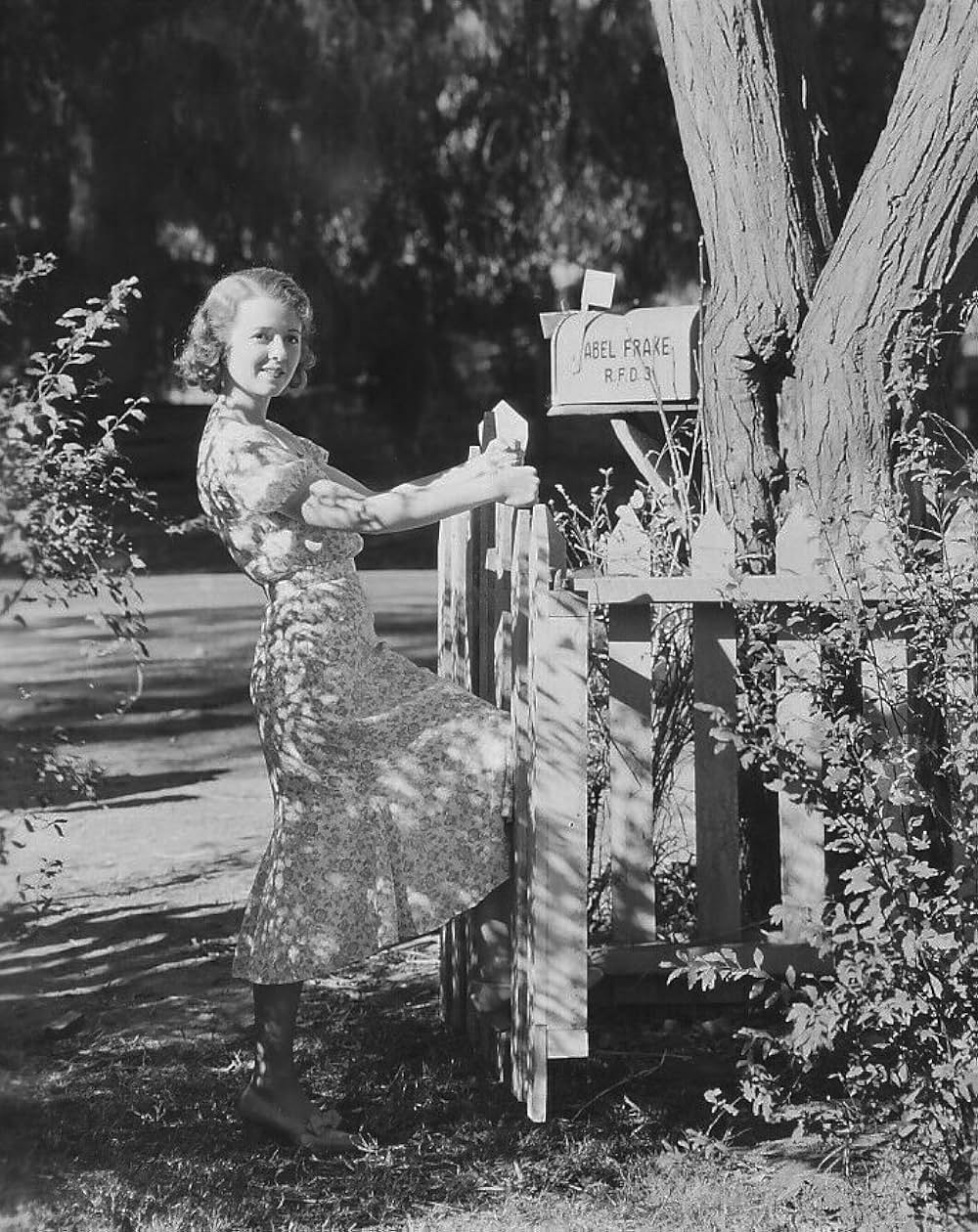 あめりか祭の画像