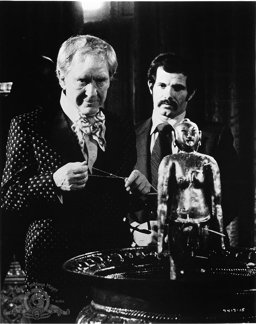 黄金の針の画像