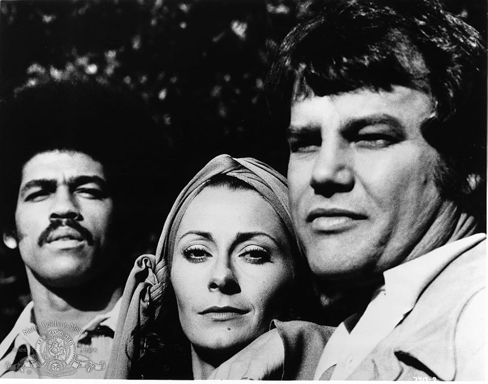 黄金の針の画像