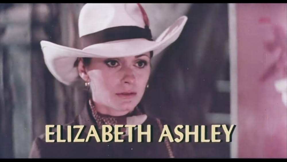 黄金の針の画像