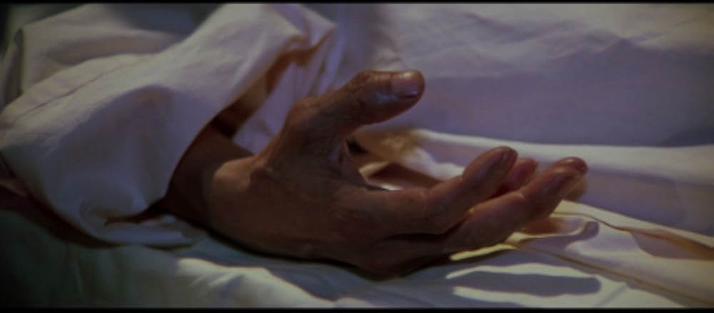 黄金の針の画像