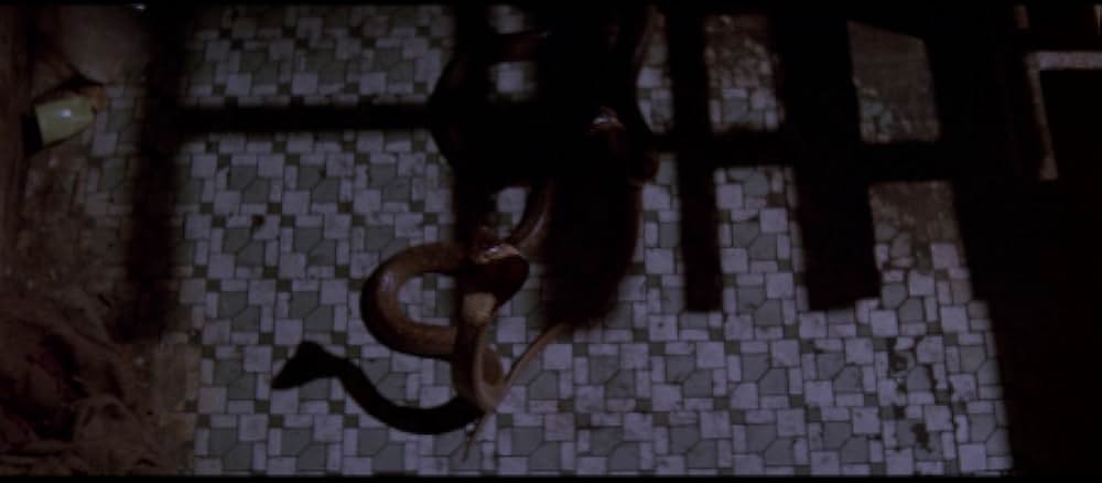 黄金の針の画像