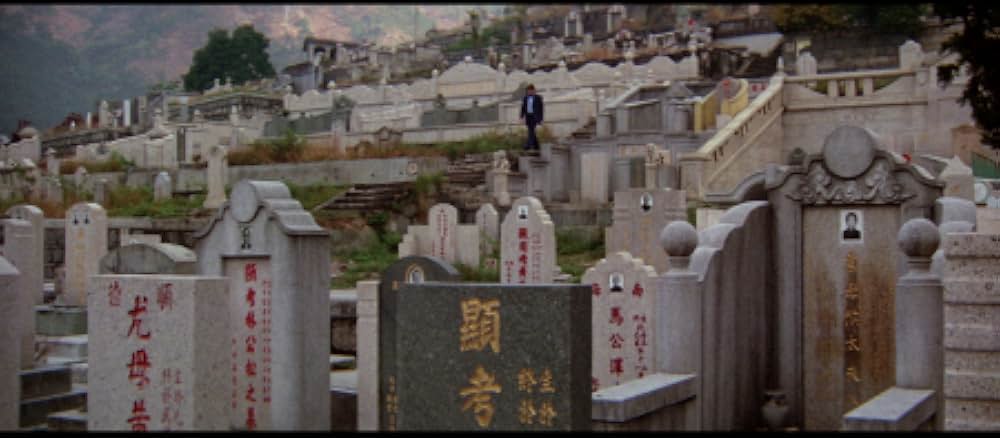 黄金の針の画像