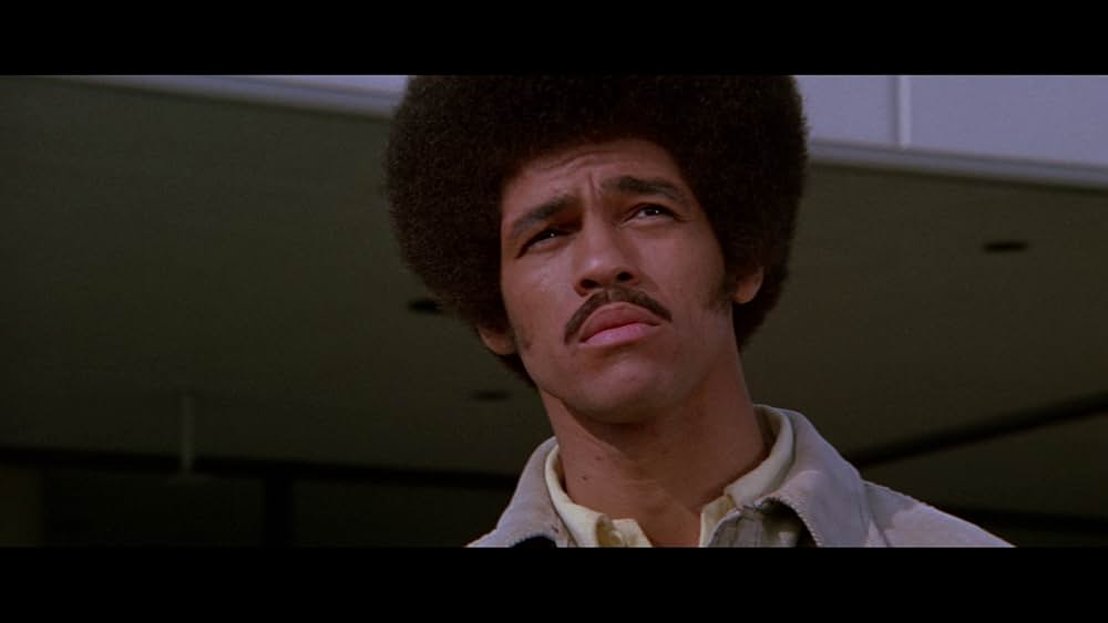 黄金の針の画像