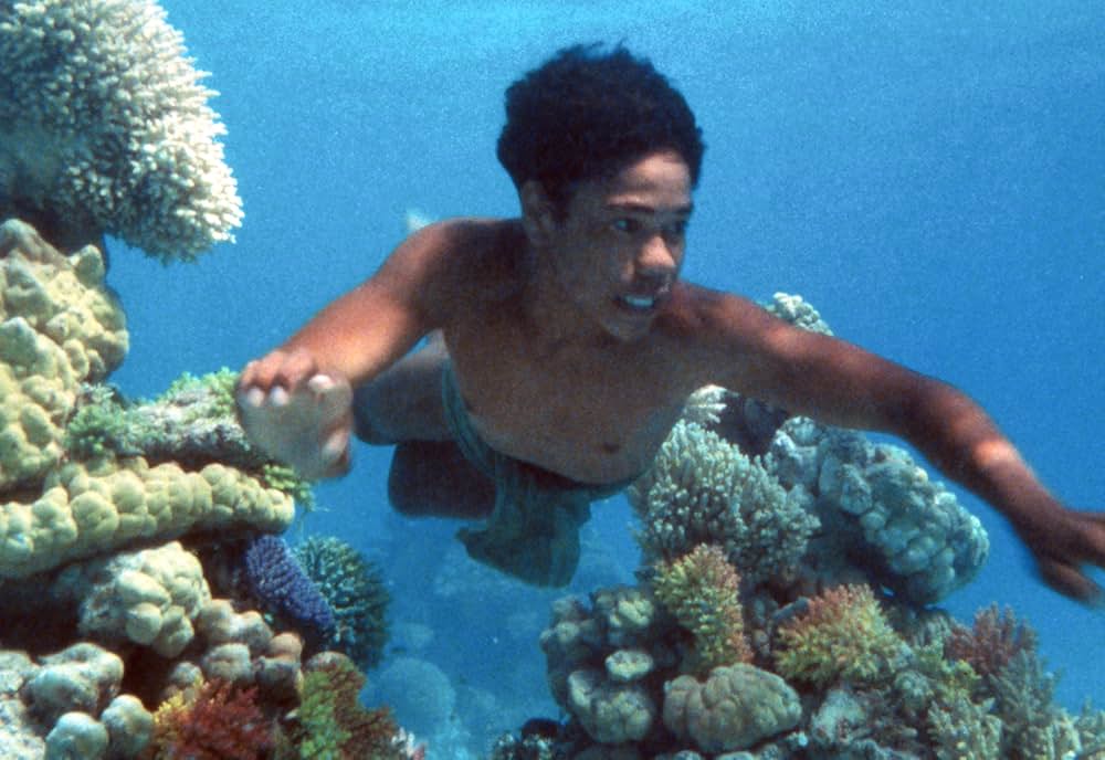 海から来た少年・珊瑚礁に消えた謎の画像