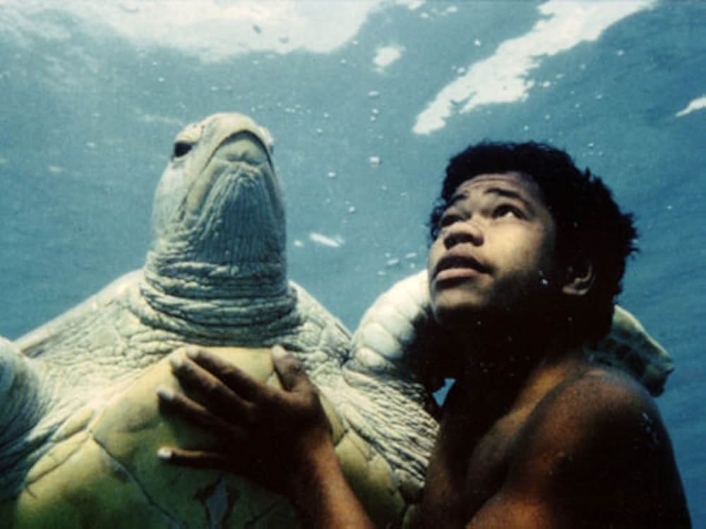 海から来た少年・珊瑚礁に消えた謎の画像