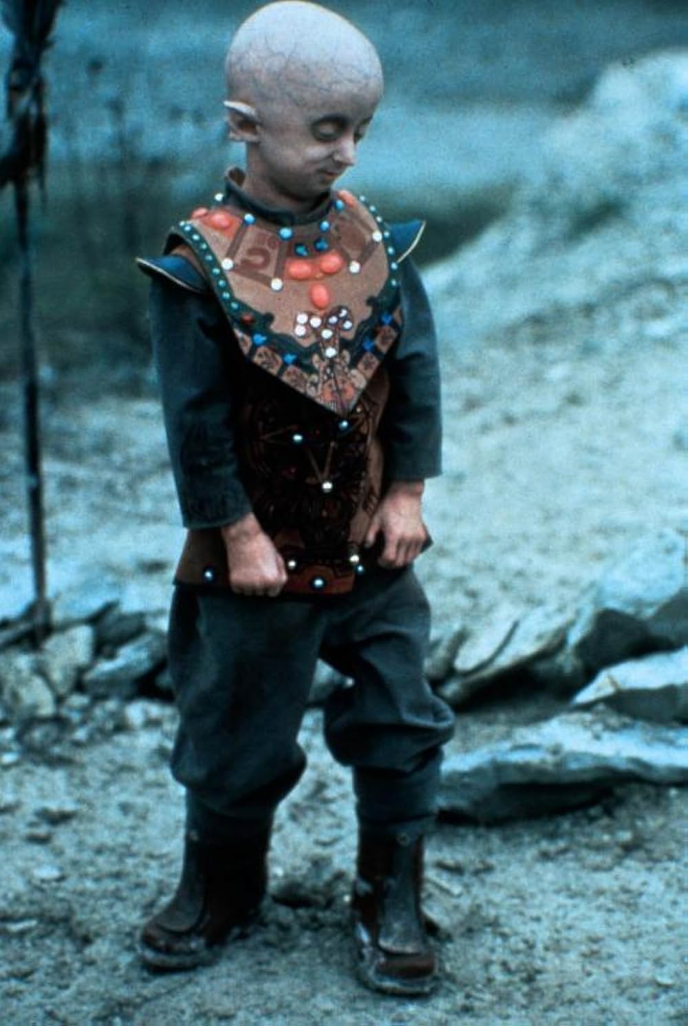 オーロラ・エンカウンターの画像