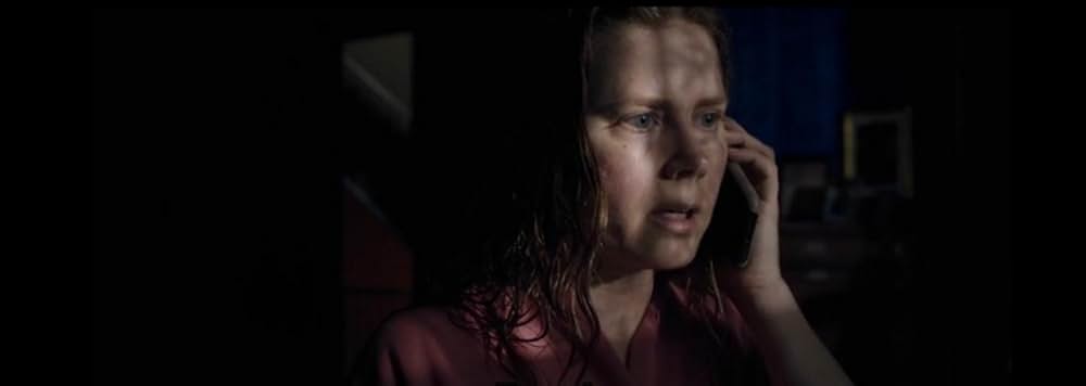 ウーマン・イン・ザ・ウィンドウの画像