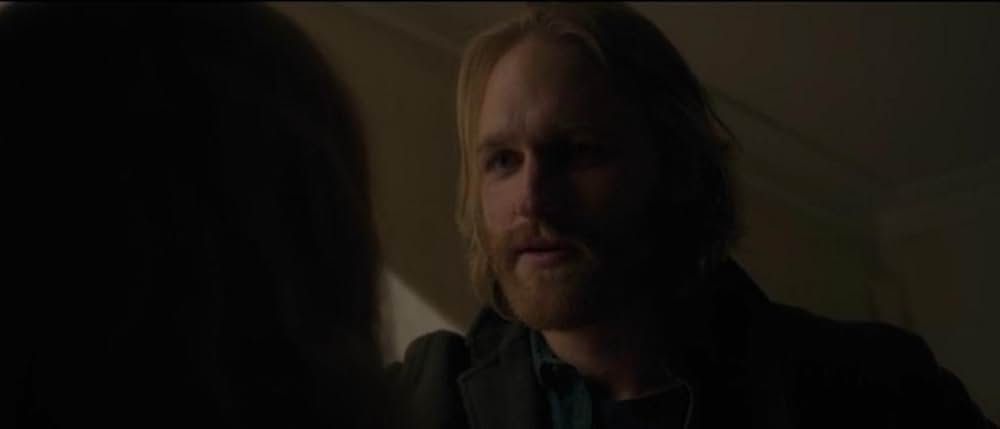 ウーマン・イン・ザ・ウィンドウの画像