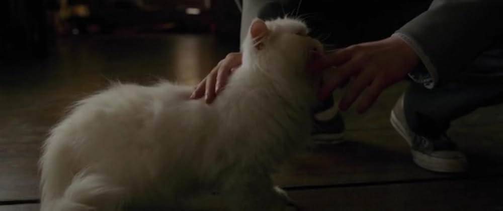 ウーマン・イン・ザ・ウィンドウの画像