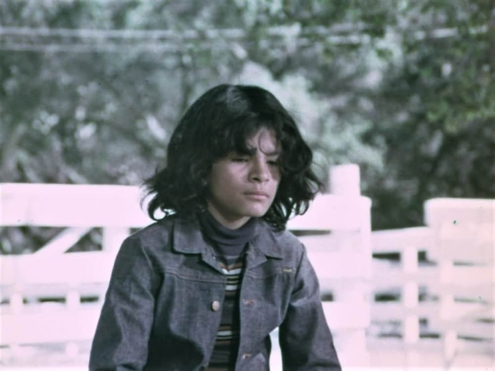 かけろ！チャンピオンの画像