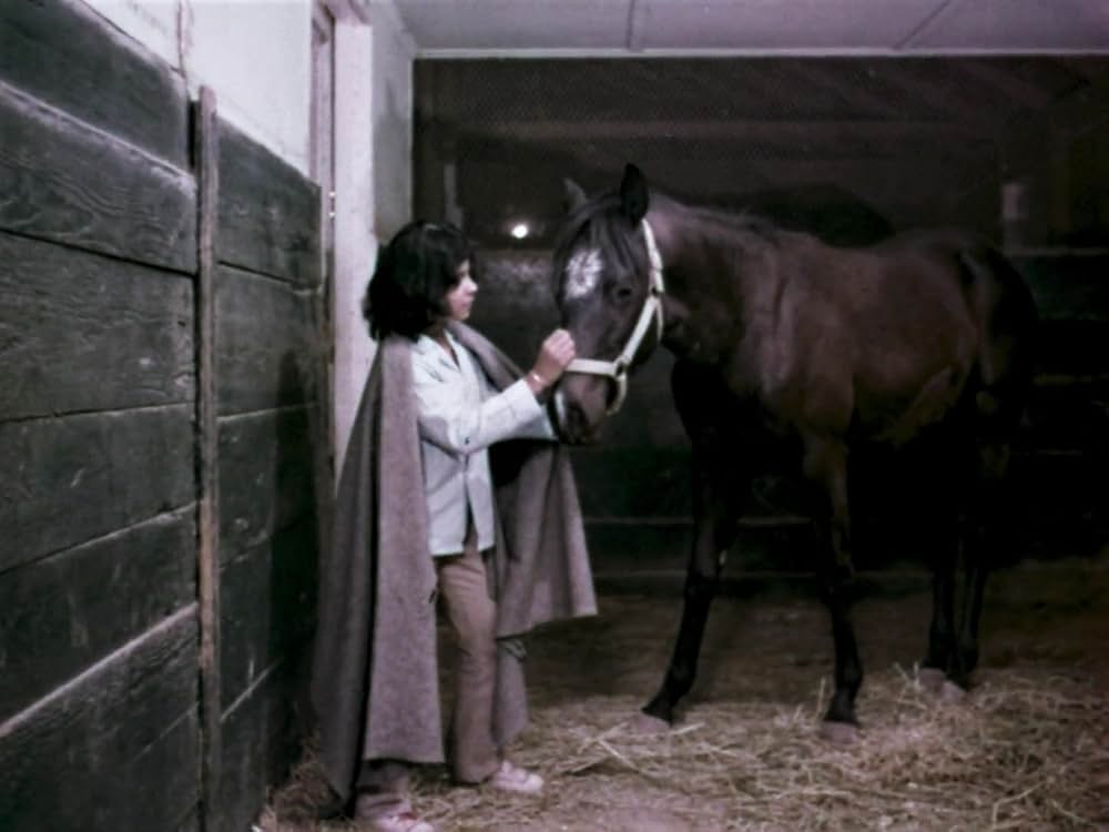 かけろ！チャンピオンの画像