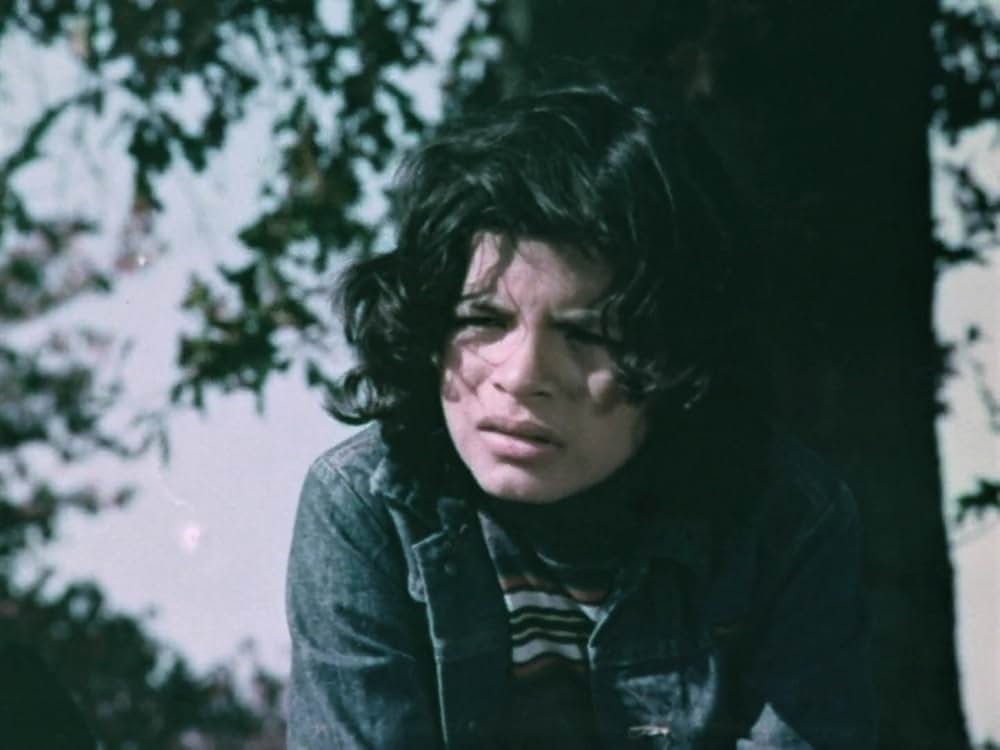 かけろ！チャンピオンの画像