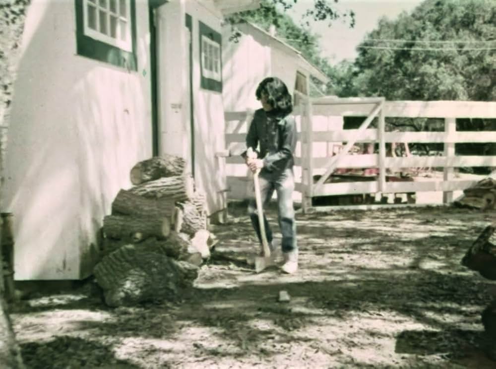 かけろ！チャンピオンの画像