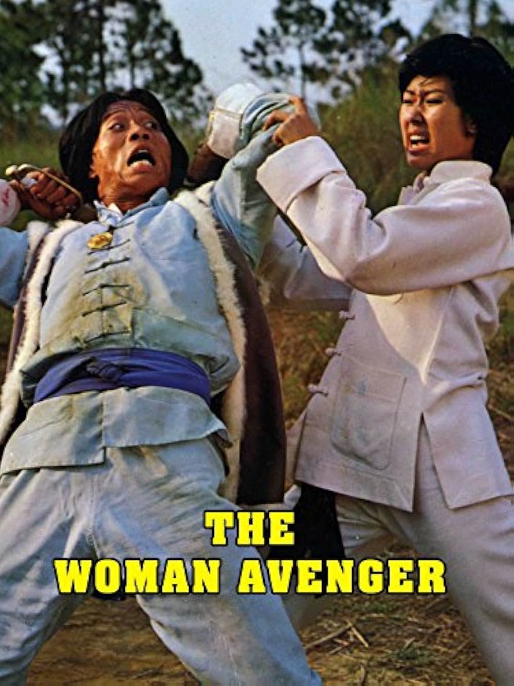 カンフー・シスター／麗竜拳の画像