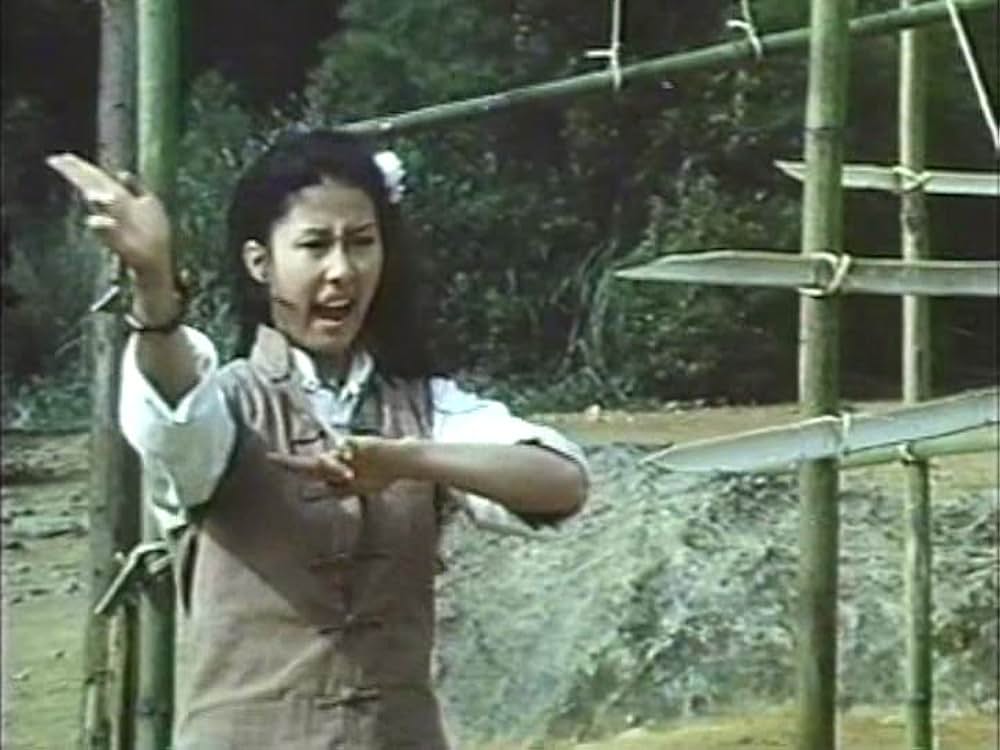 「カンフー・シスター／麗竜拳」の画像