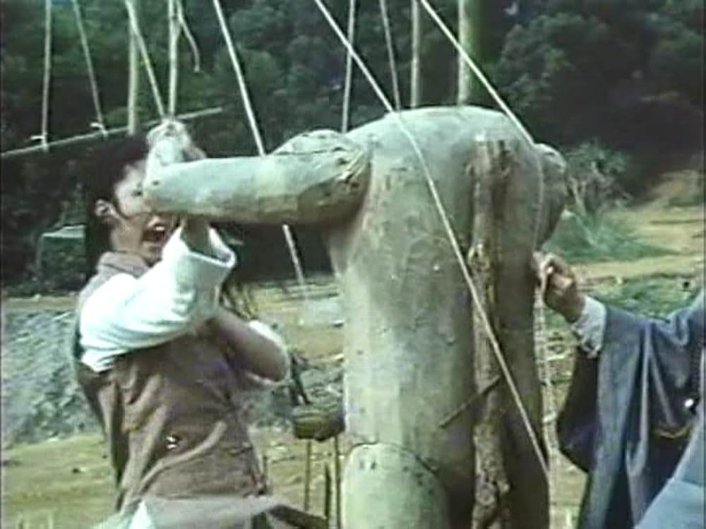 「カンフー・シスター／麗竜拳」の画像