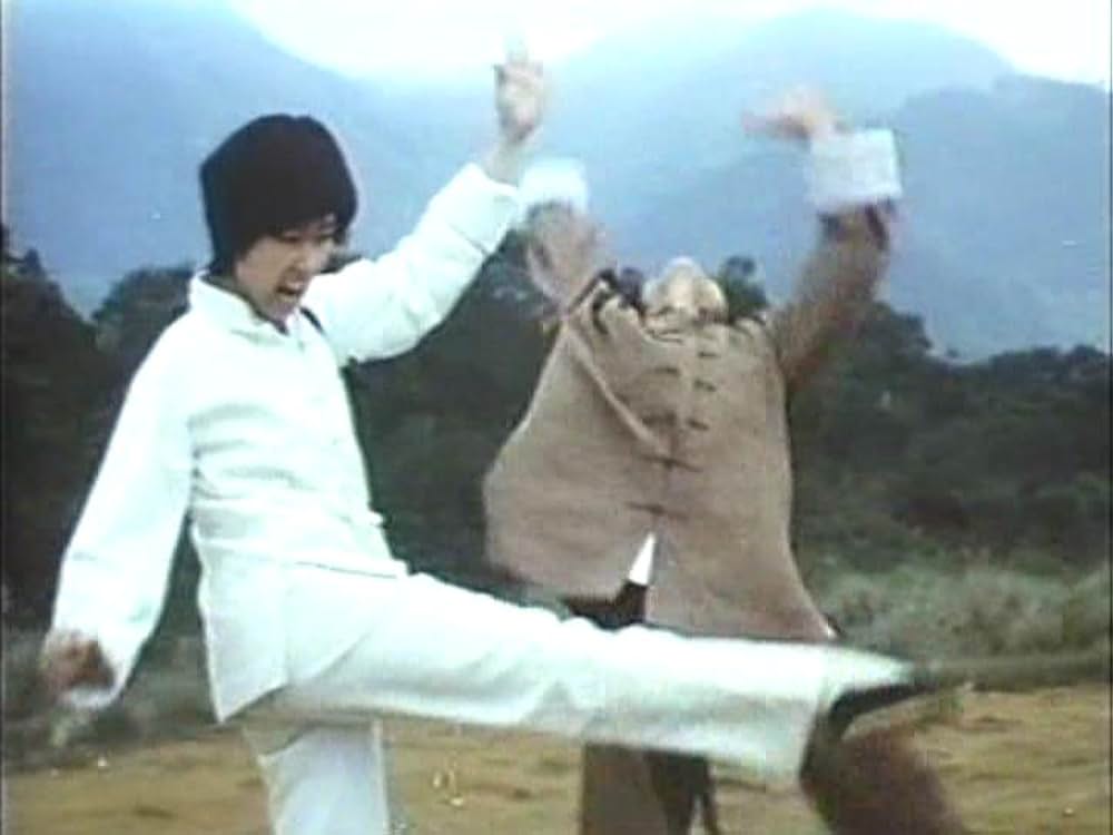 「カンフー・シスター／麗竜拳」の画像