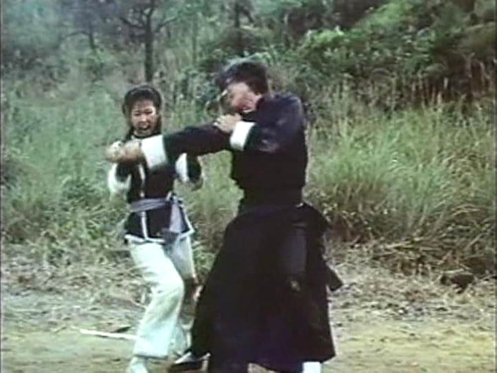 「カンフー・シスター／麗竜拳」の画像