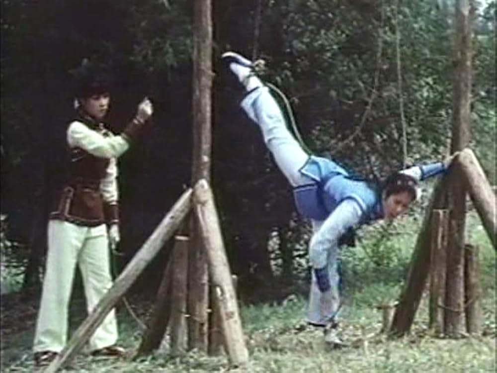 「カンフー・シスター／麗竜拳」の画像