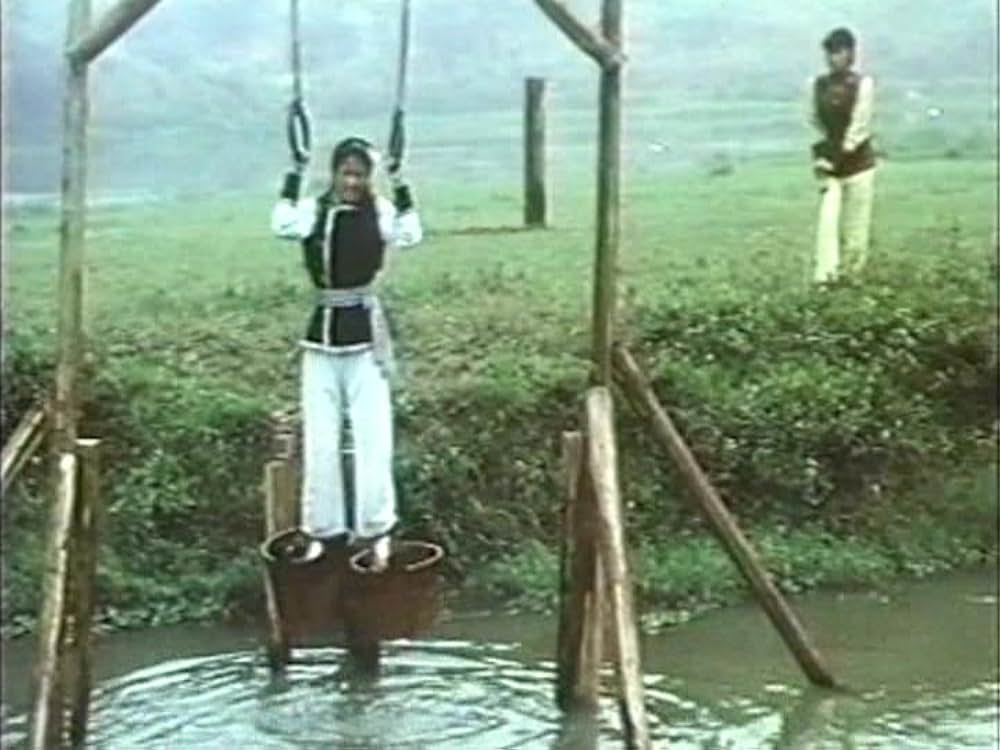 「カンフー・シスター／麗竜拳」の画像
