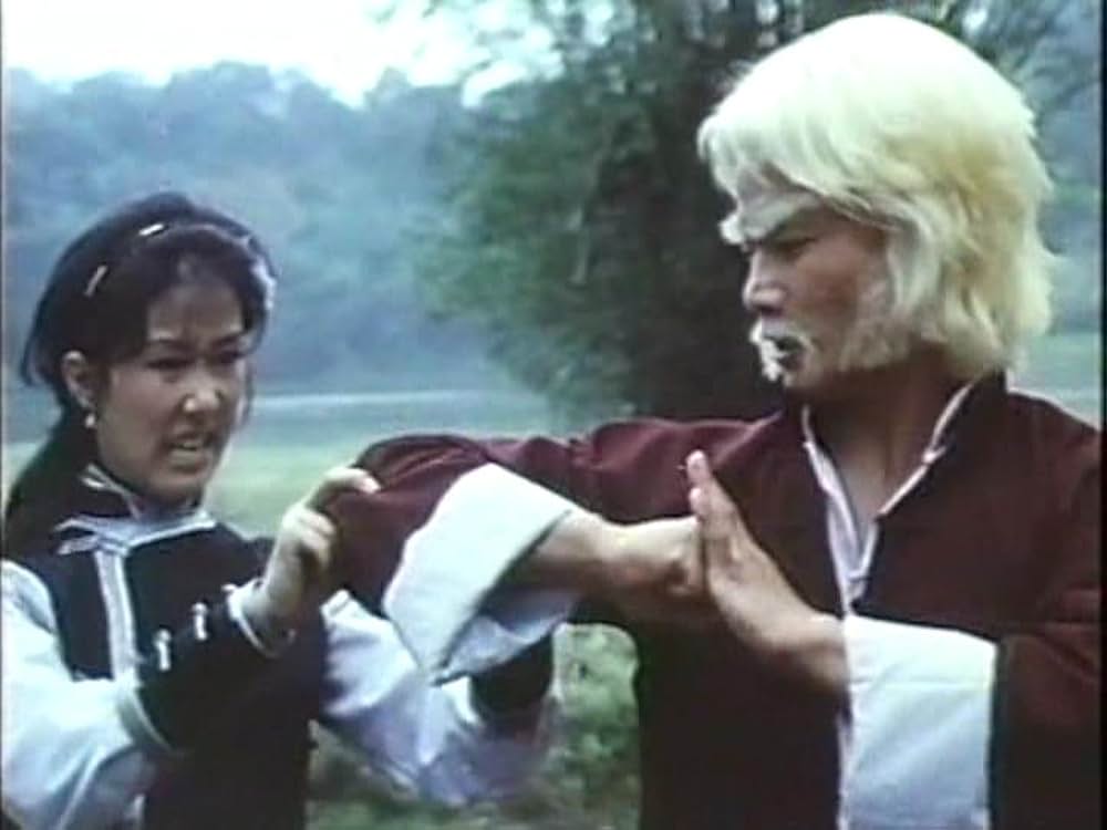 「カンフー・シスター／麗竜拳」の画像