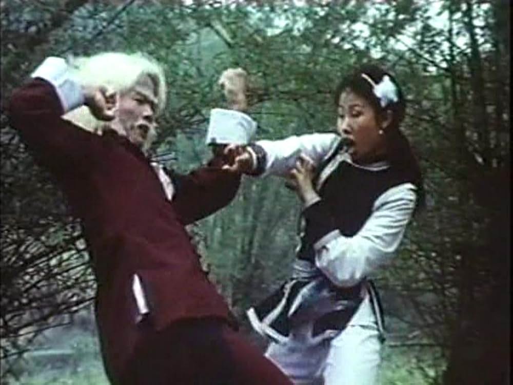 「カンフー・シスター／麗竜拳」の画像