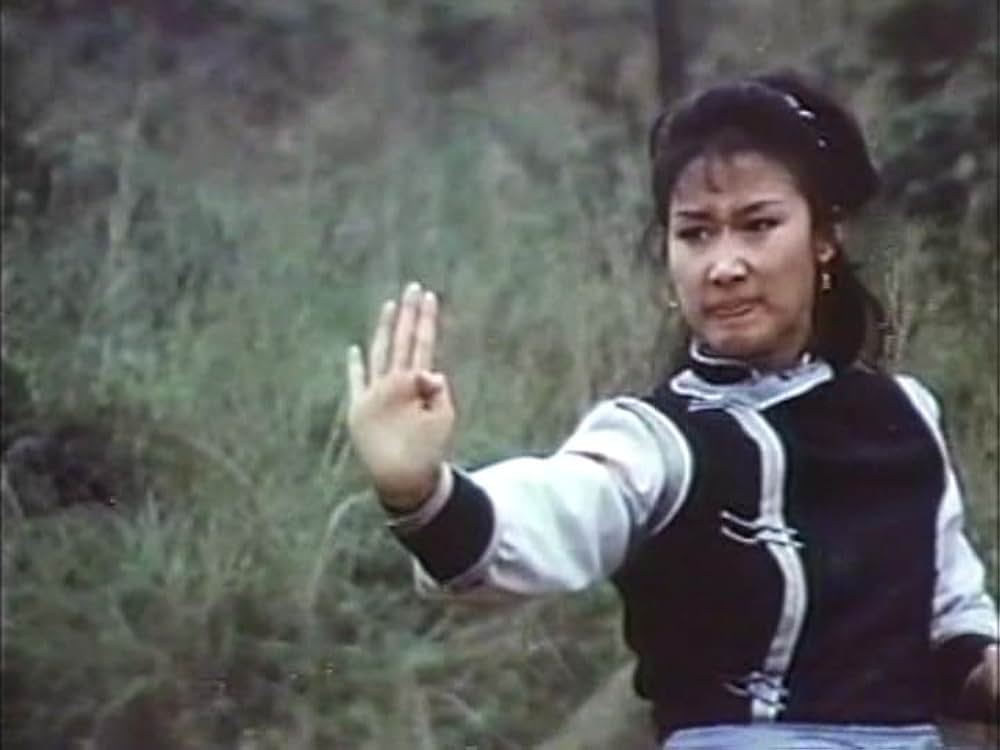 「カンフー・シスター／麗竜拳」の画像