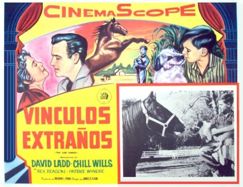 哀しみの愛馬の画像