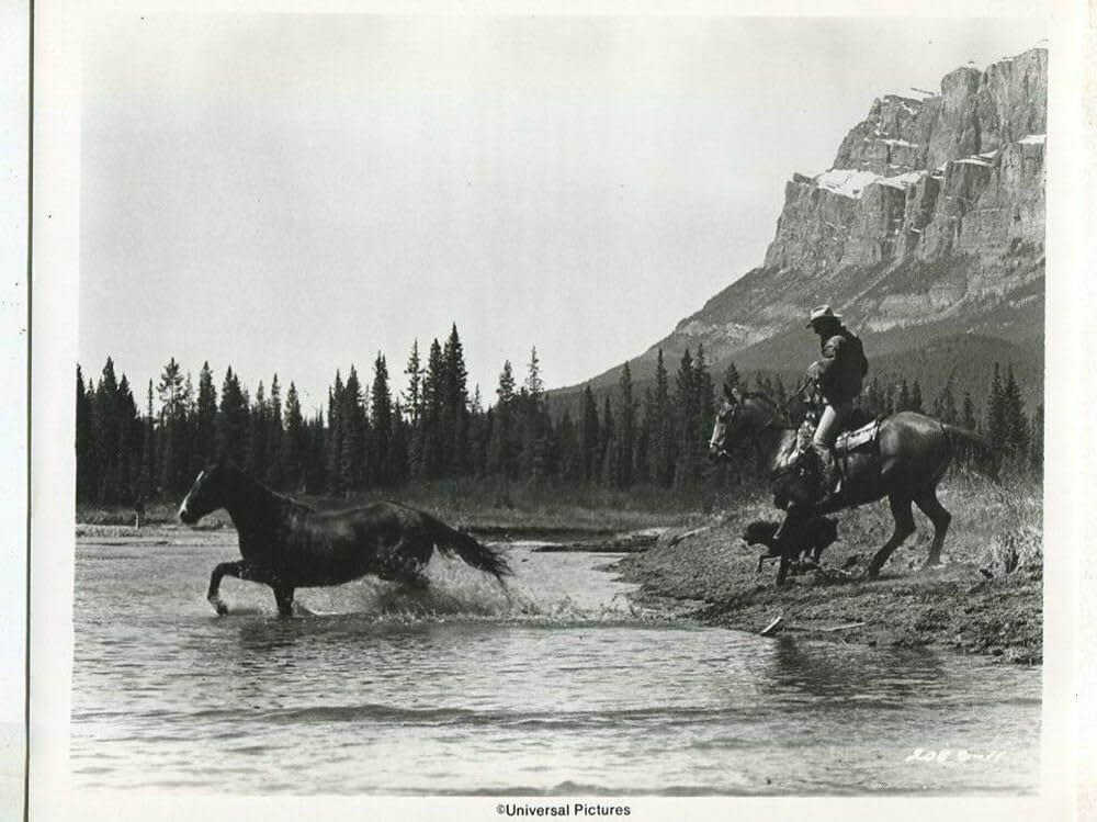 アドベンチャー・カントリーの画像