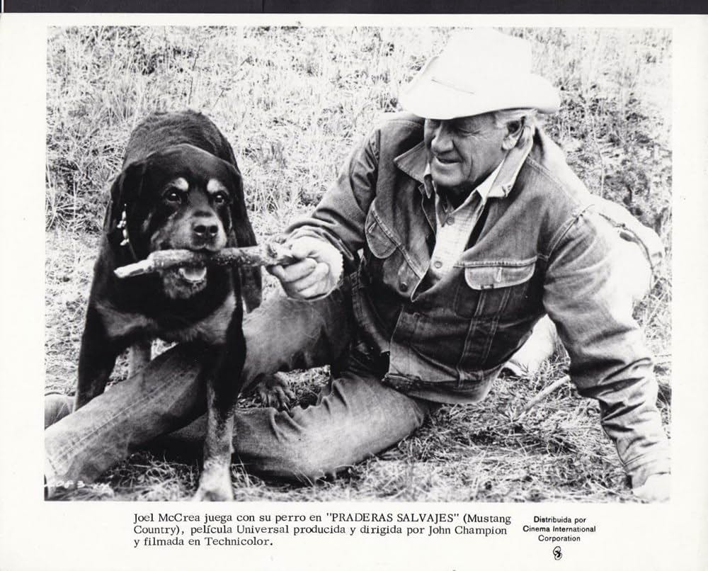 アドベンチャー・カントリーの画像