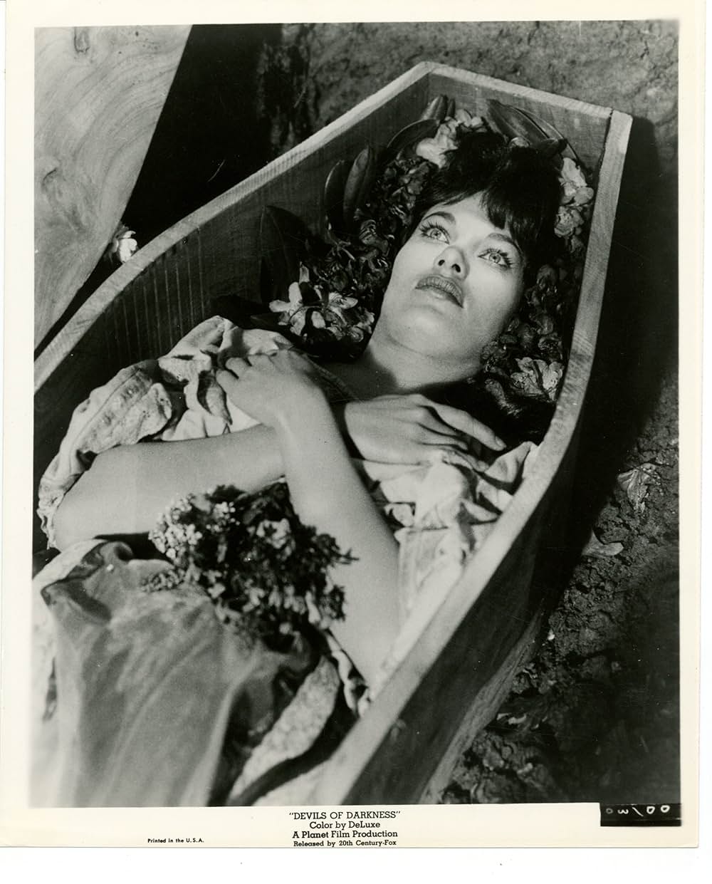 吸血鬼シニスターの復讐の画像