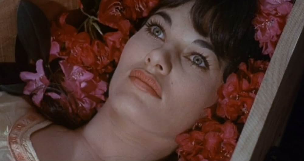 吸血鬼シニスターの復讐の画像