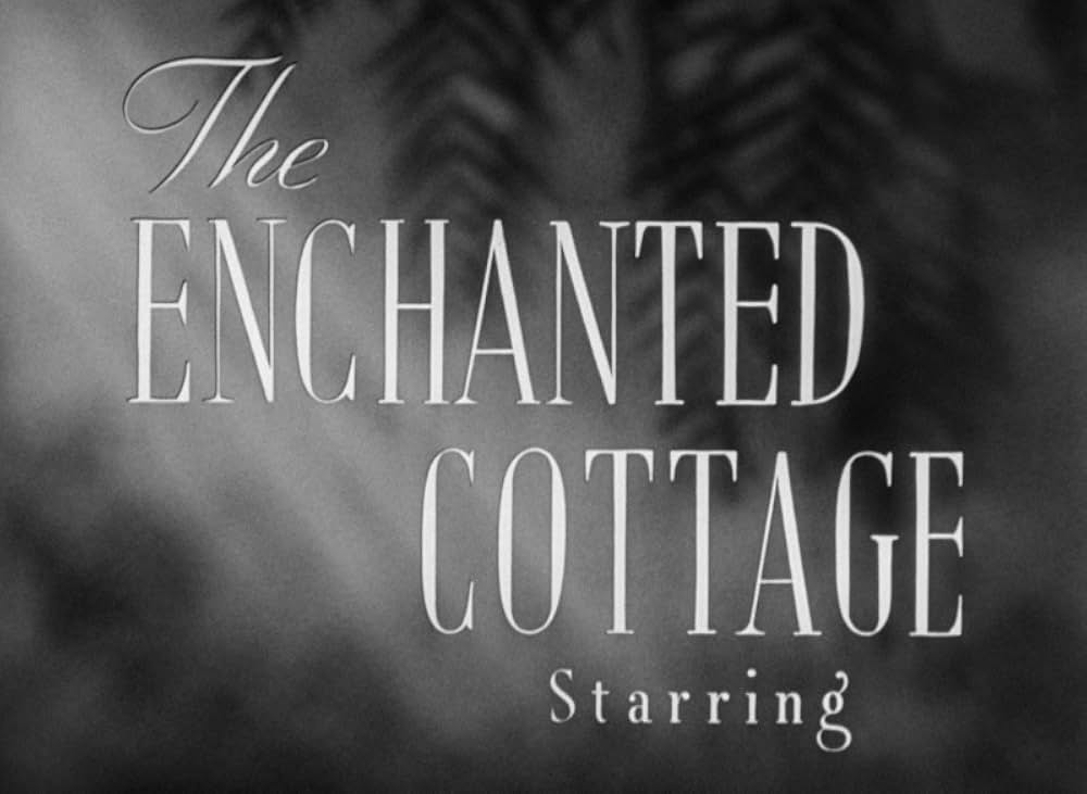 青春の宿の画像