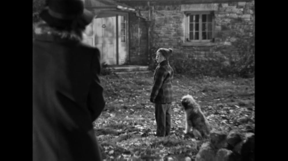 青春の宿の画像