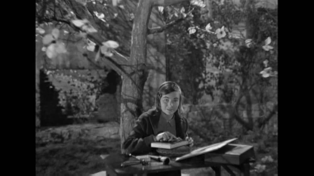 青春の宿の画像