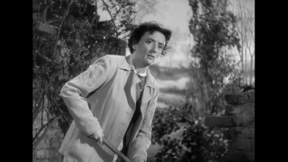 青春の宿の画像