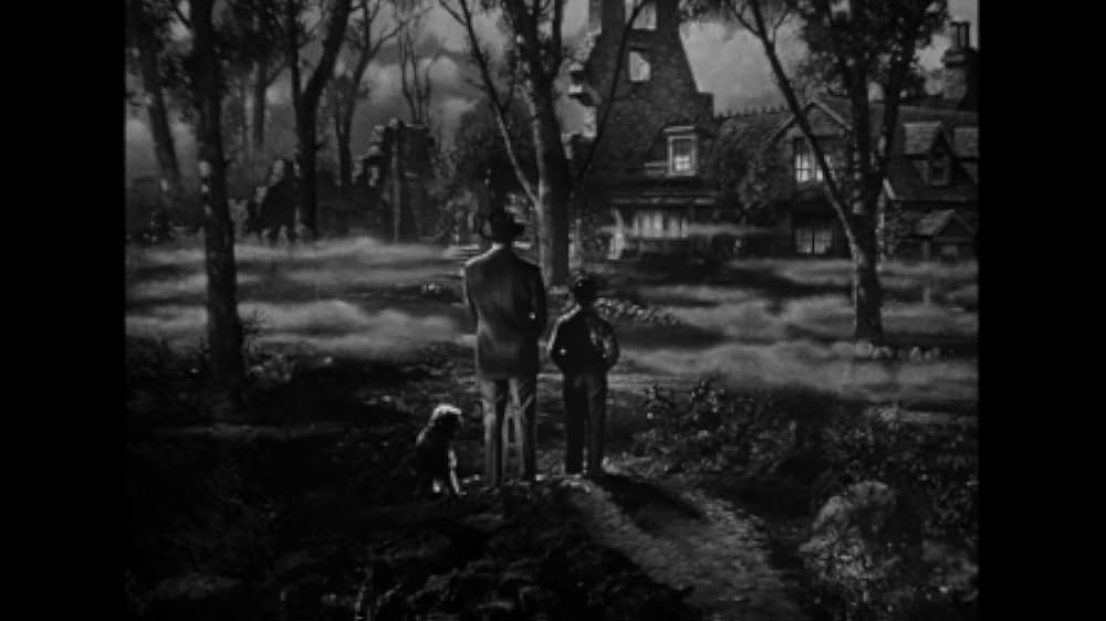 青春の宿の画像