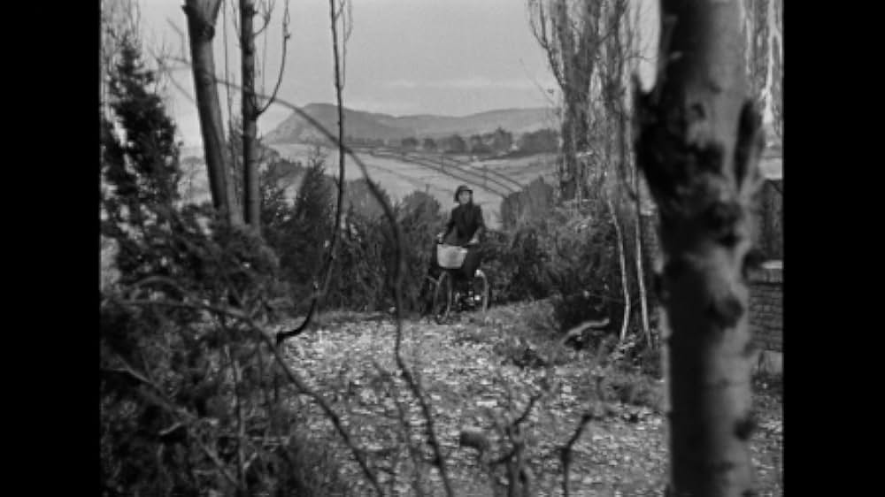 青春の宿の画像