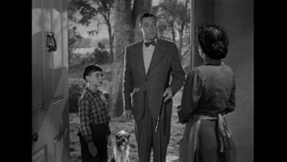 青春の宿の画像