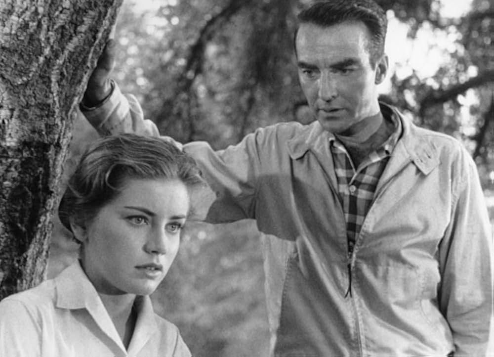 孤独の旅路の画像