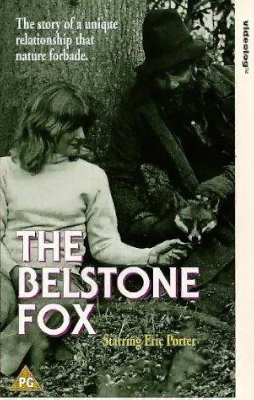 子ぎつね物語の画像