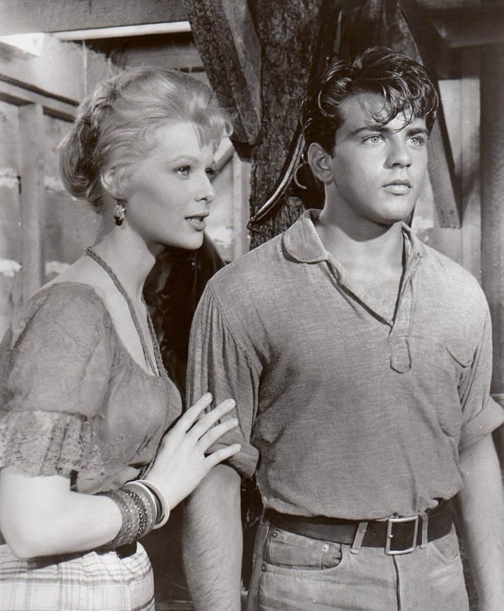 疑惑の愛情の画像