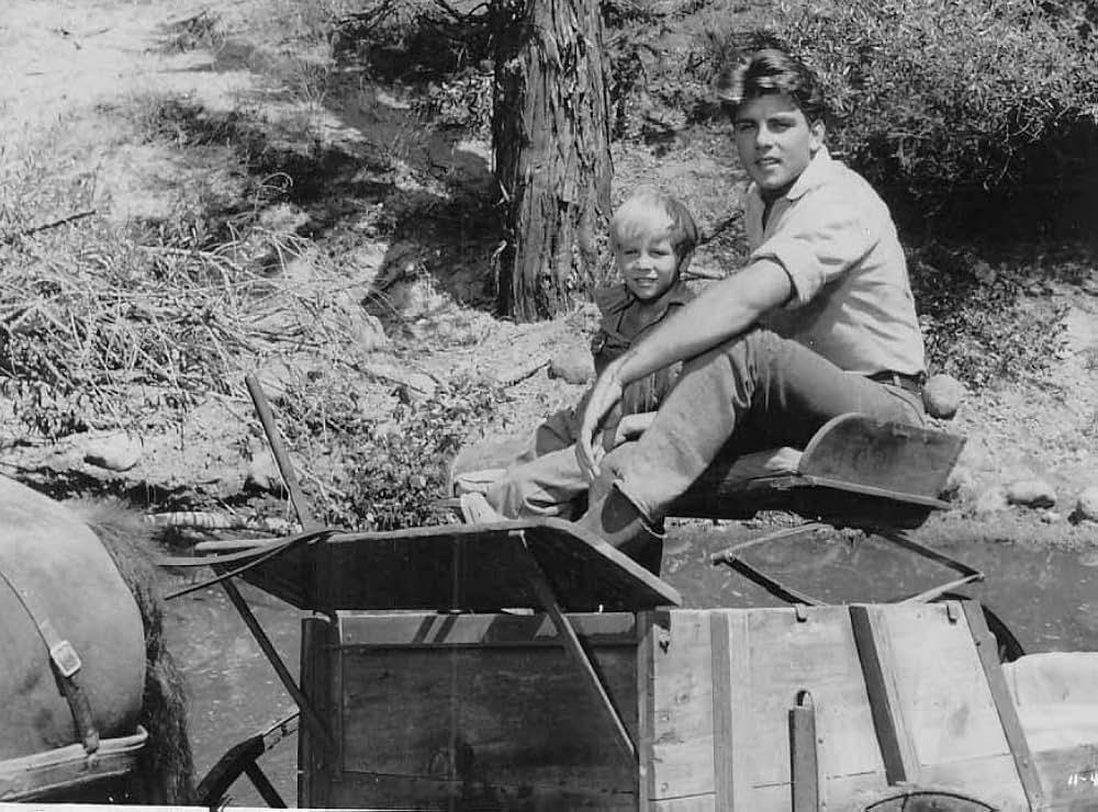 疑惑の愛情の画像