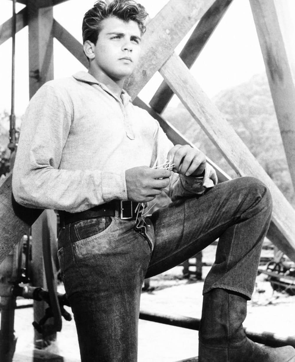 疑惑の愛情の画像