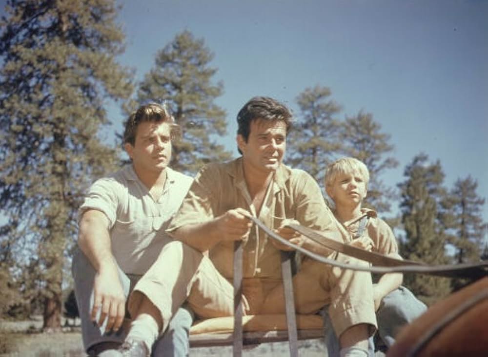 疑惑の愛情の画像